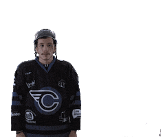 Hockeysurglace Sticker by Corsaires de Nantes