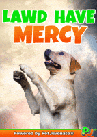 Henlo Hooman Fren GIF by PetJuvenate - PJ