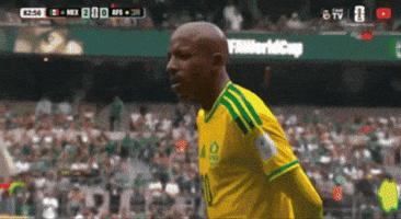 Reaction GIF