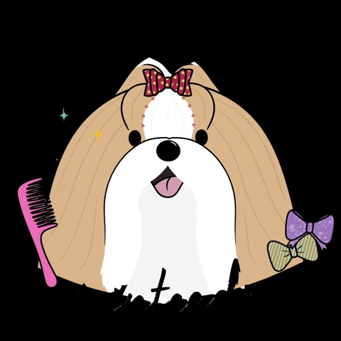 Dog Look GIF by Compão