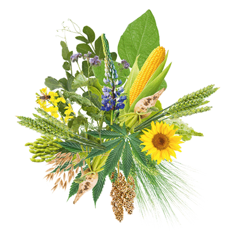 Bauer Landwirt Sticker by Michael at Contentivity