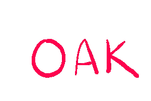 New College Nc Sticker by lifeatnew