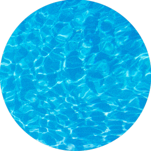 Lenovo Türkiye Sticker