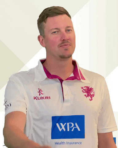 Not Out Ball GIF by Somerset County Cricket Club
