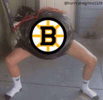 Ruins Boston Sucks GIF