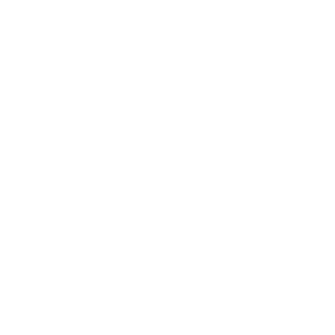 WHEEL SISTERS Sticker