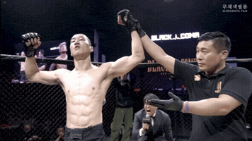 Blackcombat GIF