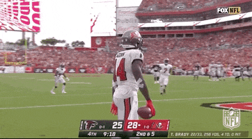 Tampa Bay Buccaneers Football GIF by NFL