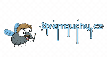 Tom Tomas GIF by Dvě Mouchy