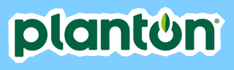 Text Brand GIF by planton