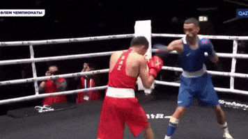 Knockout Sport GIF by Bekzatsport