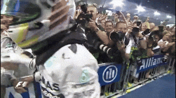 Lewis Hamilton F1 GIF