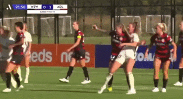 Wanderers GIF