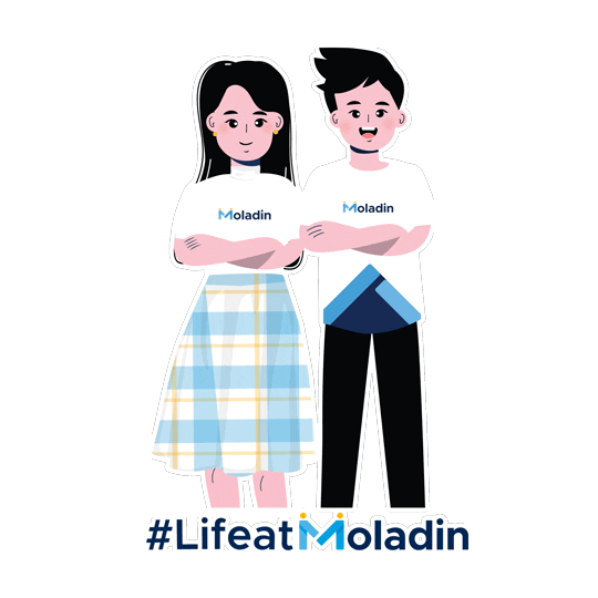 Startup Otomotif Sticker by Moladin