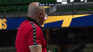Sport Show GIF by EHF