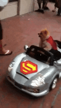 200w.gif#147