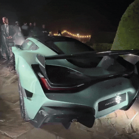 Pomeranian Kroshka GIF