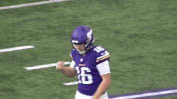 Celebration Fieldgoal GIF by Minnesota Vikings