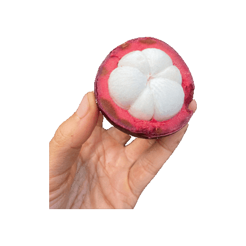 Tropical Fruit Mangosteen Sticker by Miami Fruit