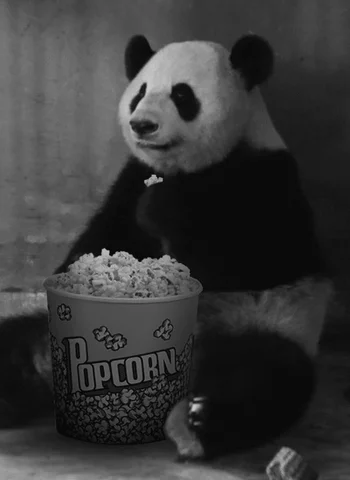 eating popcorn GIF
