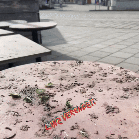 Austria Dove GIF by Linz verendet