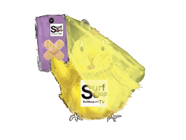 Animation Sticker by Surf Soup®