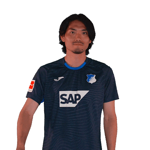 Sport Bundesliga Sticker by TSG Hoffenheim