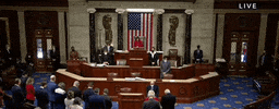 Congress Moment Of Silence GIF by GIPHY News