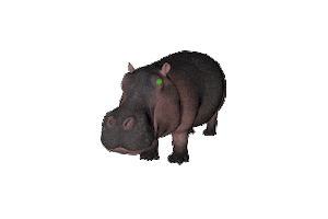 Hungry Hippo Sticker