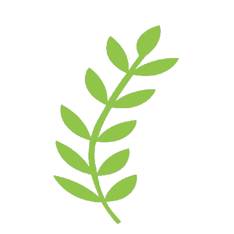 Flower Plant Sticker