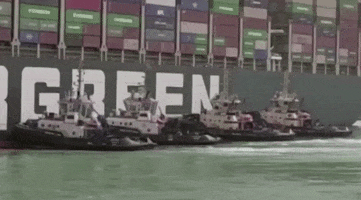 Suez Canal GIF by GIPHY News