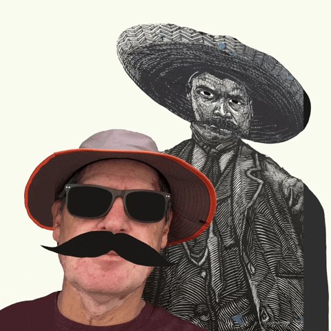 Mexico Revolution GIF by My Doodles Atalier