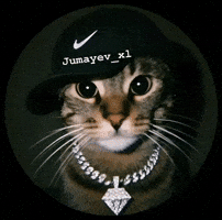 Cat Uzbek GIF