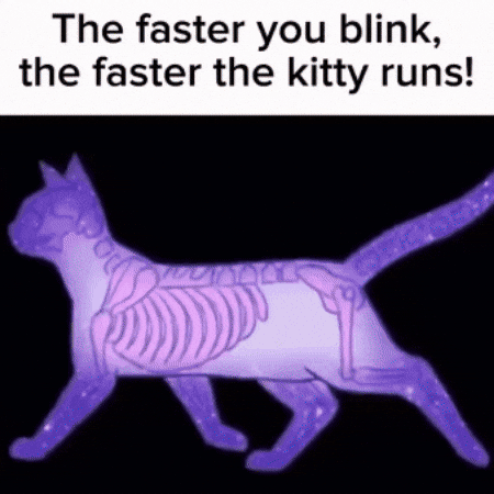 Russian Cat GIF by Airlearn