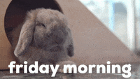 Its Friday GIF by Sealed with a GIF