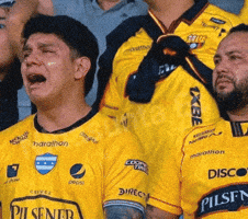 Liga De Quito Ldu GIF