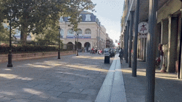 Asaf Guttman Asaf P Guttman Asaf Peter Guttman GIF