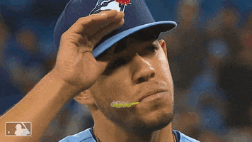 Blue Jays Sport GIF by MLB