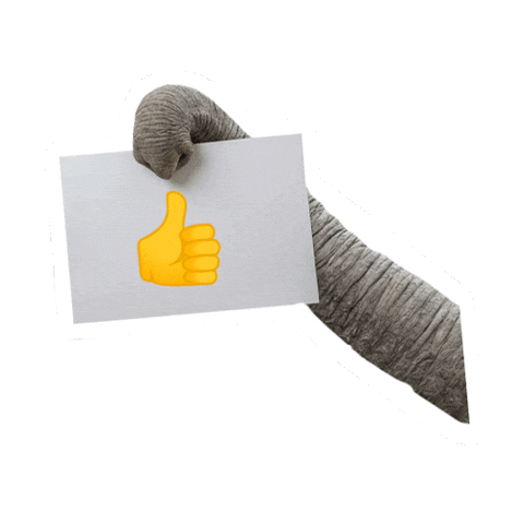 Trunk Feelthepower Sticker by Caparol Deutschland