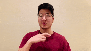 Asl Try GIF