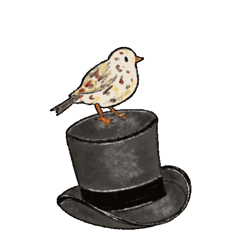 Mr Darcy Hello Sticker