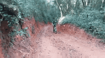 Vida Adaptada GIF