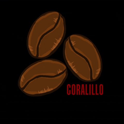 GIF by CERATO
