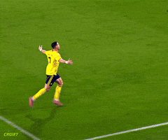 Celebrating Cristiano Ronaldo GIF