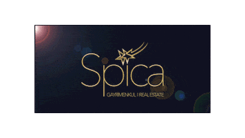 Spica Sticker by spicagayrimenkultr