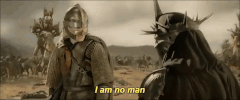 Lord Of The Rings I Am No Man GIF by AIDES