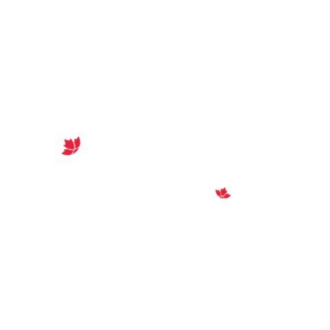 Montreal Viagens Sticker