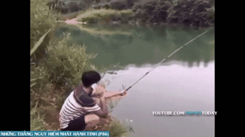 phuongtai  GIF