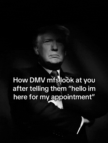 Donald Trump Instagram GIF