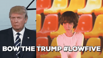 andikram trump notmypresident not my president lowfive GIF